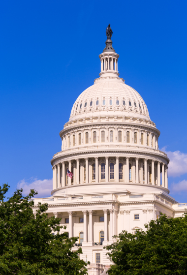 The image shows the U.S. Capitol building's iconic white dome under a clear blue sky, with lush green trees in the foreground.