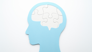 Silhouette of a blue head with a puzzle piece brain inside, symbolizing cognitive concepts. The tone is illustrative and thought-provoking.